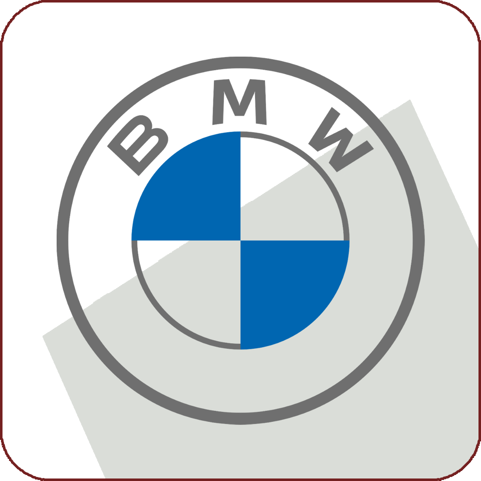 BMW EWS SLEUTEL