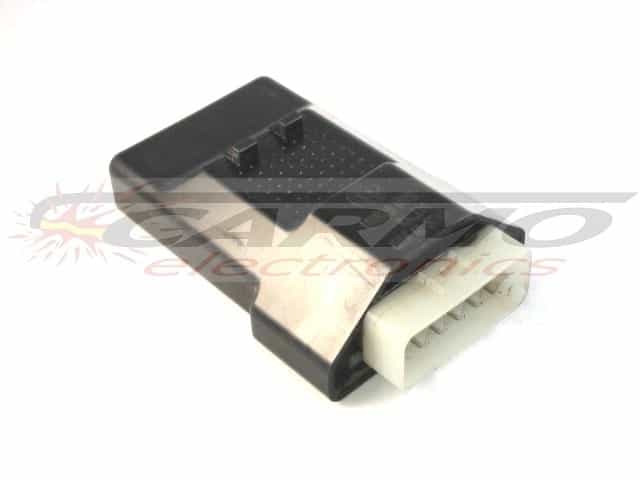 RM250 CDI ユニット ECU 点火 (C4744, CU7450, J91, Kokusan Denki)