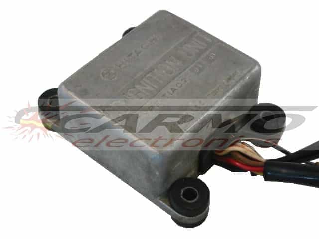 TA125 2 cylinder, classic racer CDI ユニット ECU 点火